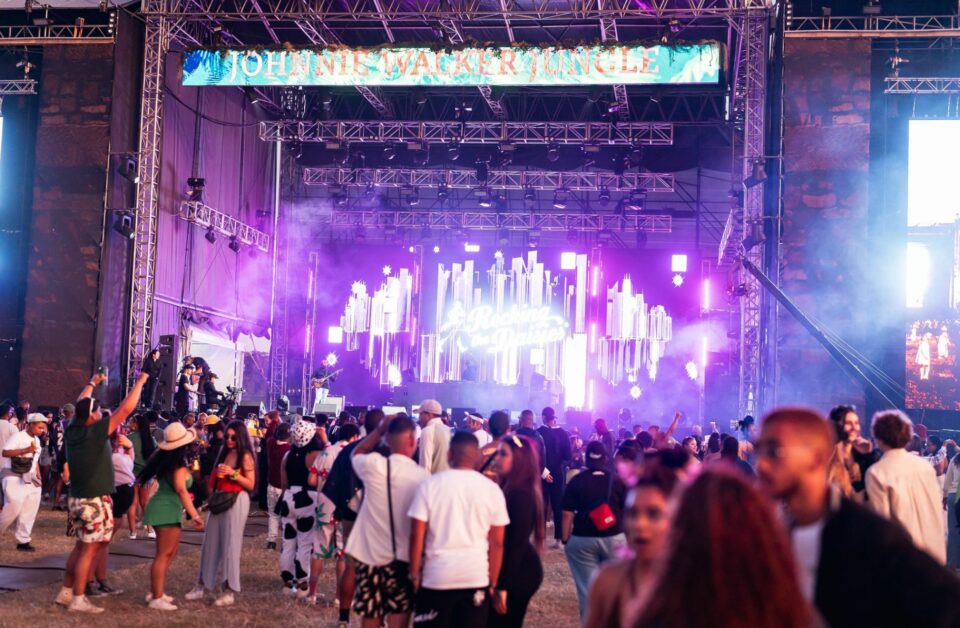 15 Best Music Festivals In South Africa: Unmissable Rhythmic Adventures