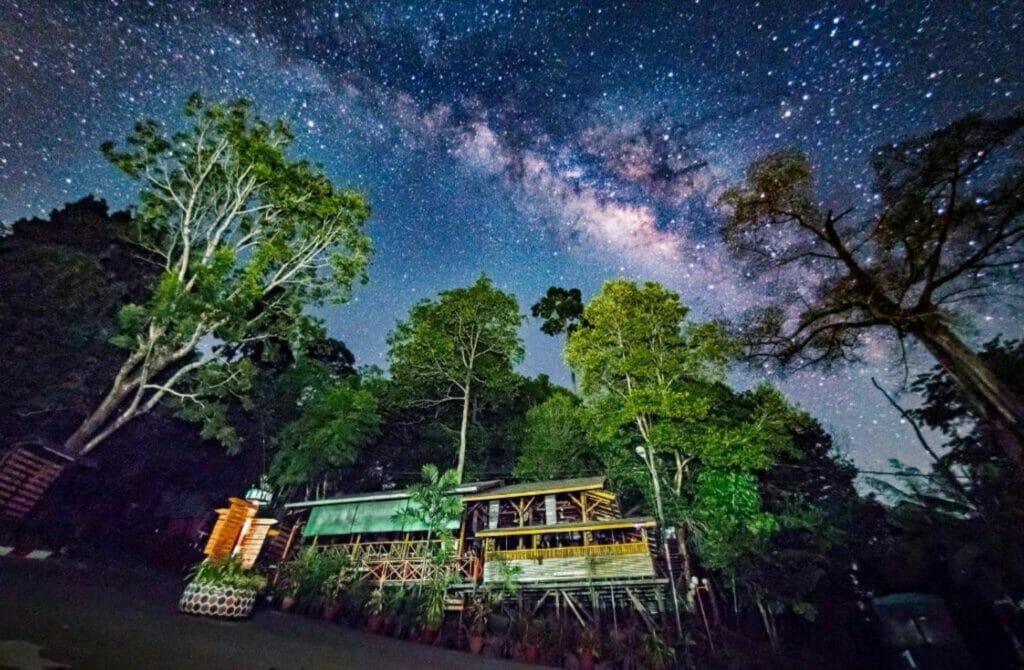 Borneo Rainforest Lodge - Best Hotels In Malaysia