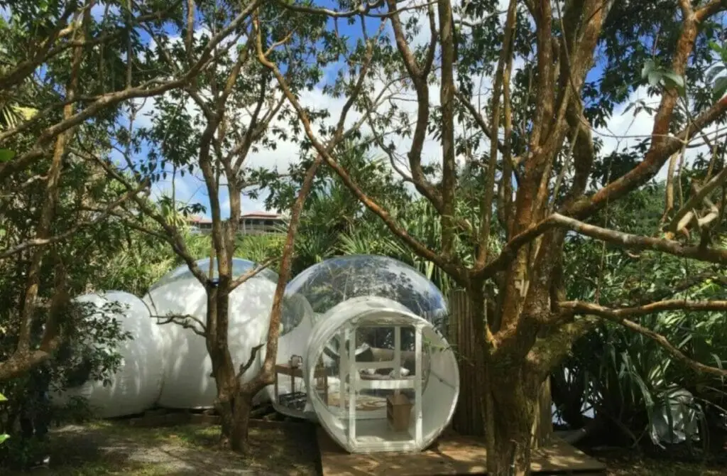 Bubble Lodge - Best Hotels In Mauritius