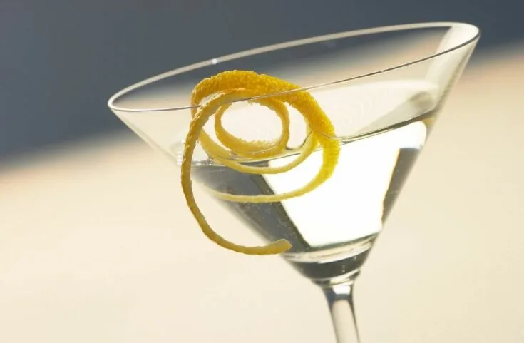 Classic Tanqueray Martini With A Twist Recipe