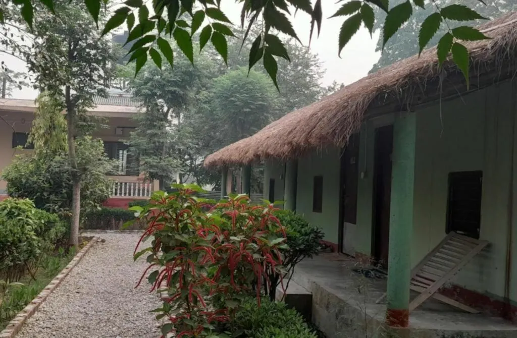 Crocodile Safari Camp - Best Hotels In Chitwan National Park Nepal