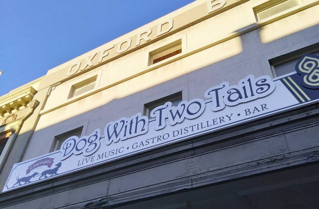 Dog With Two Tails - Best Dunedin Bars