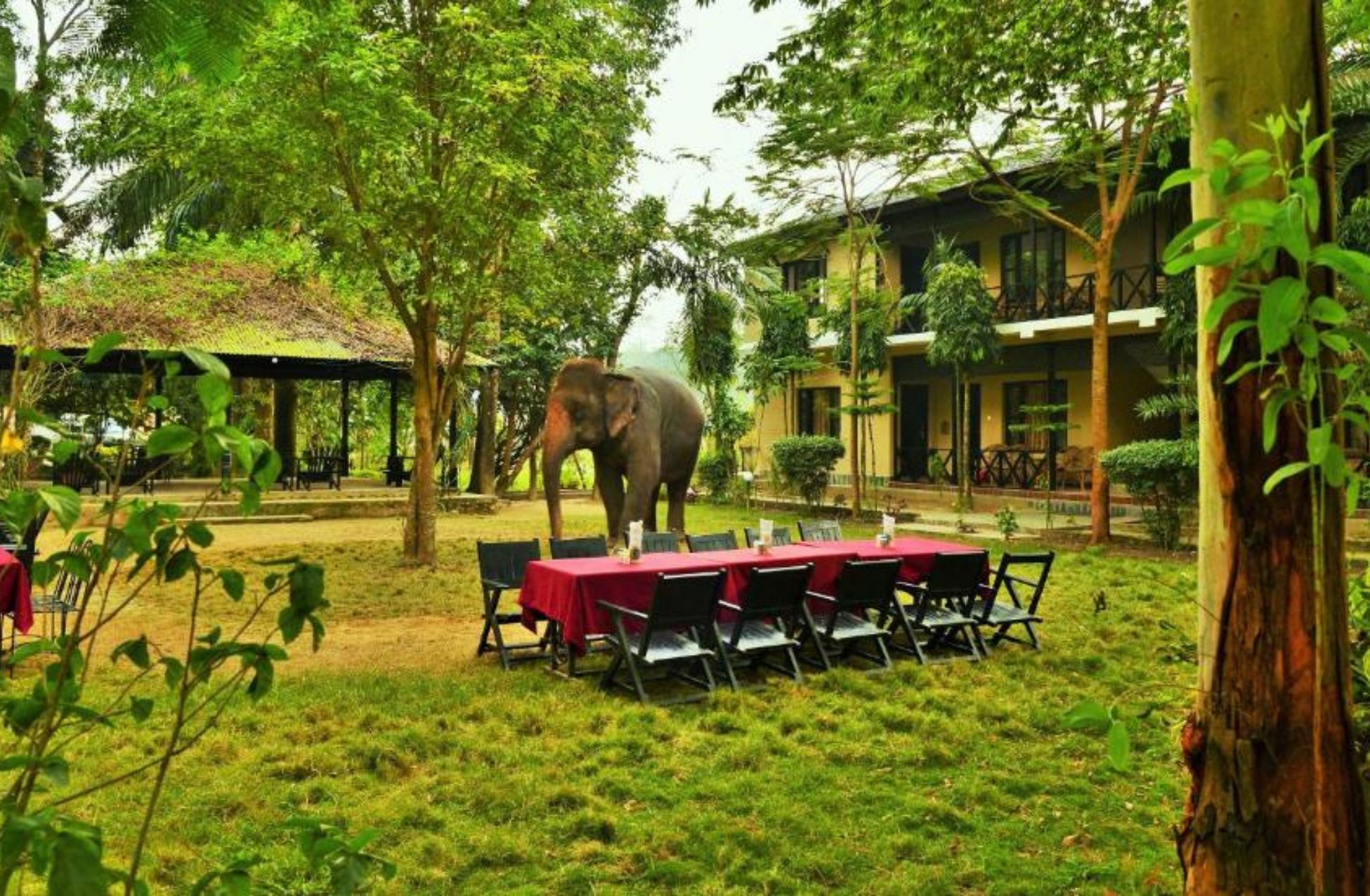 Hotel Parkside - Best Hotels In Chitwan National Park Nepal
