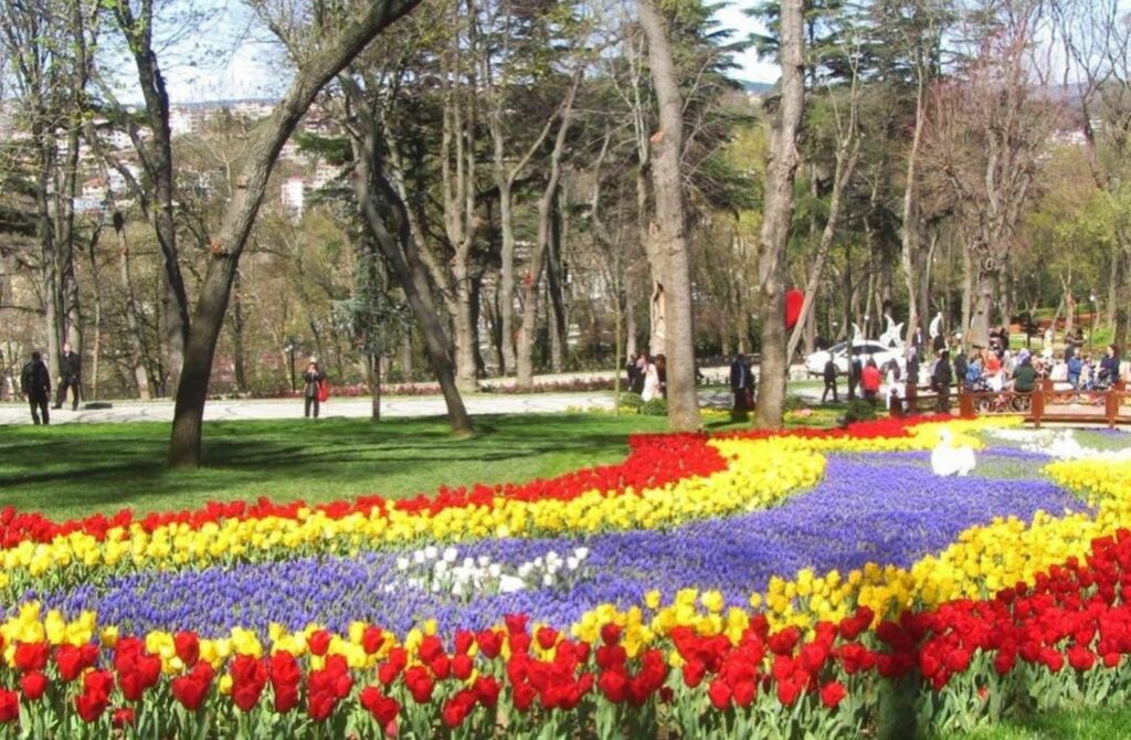 Istanbul Tulip Festival - Best Music Festivals in Turkey