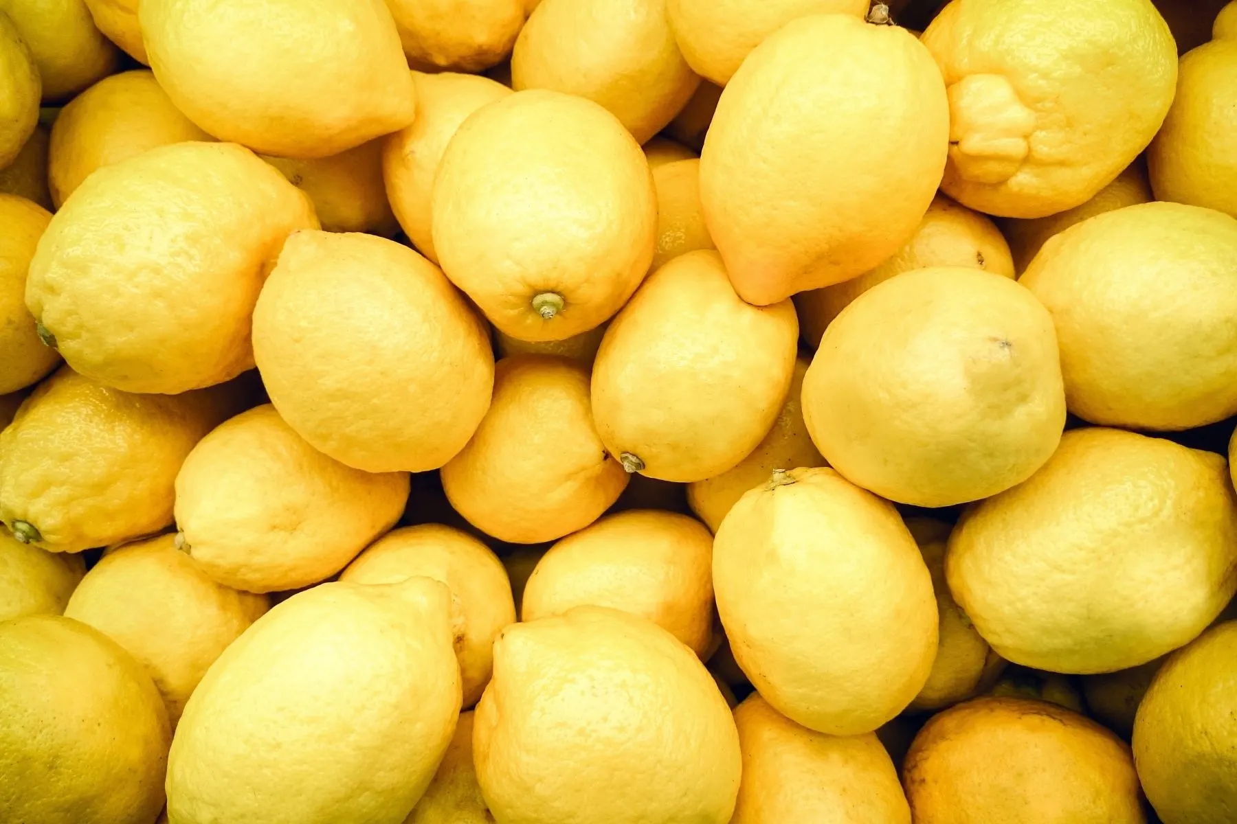 Heavenly Lemon Rosemary Martini Recipe
