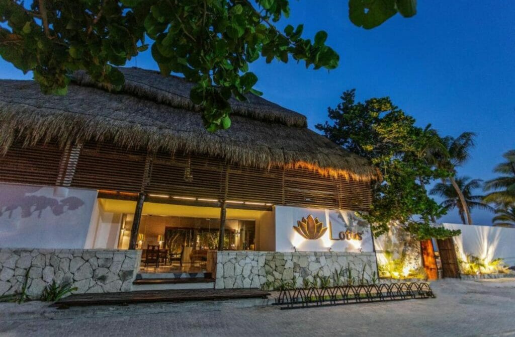 Lotus Beach Hotel - Best Hotels In Isla Mujeres