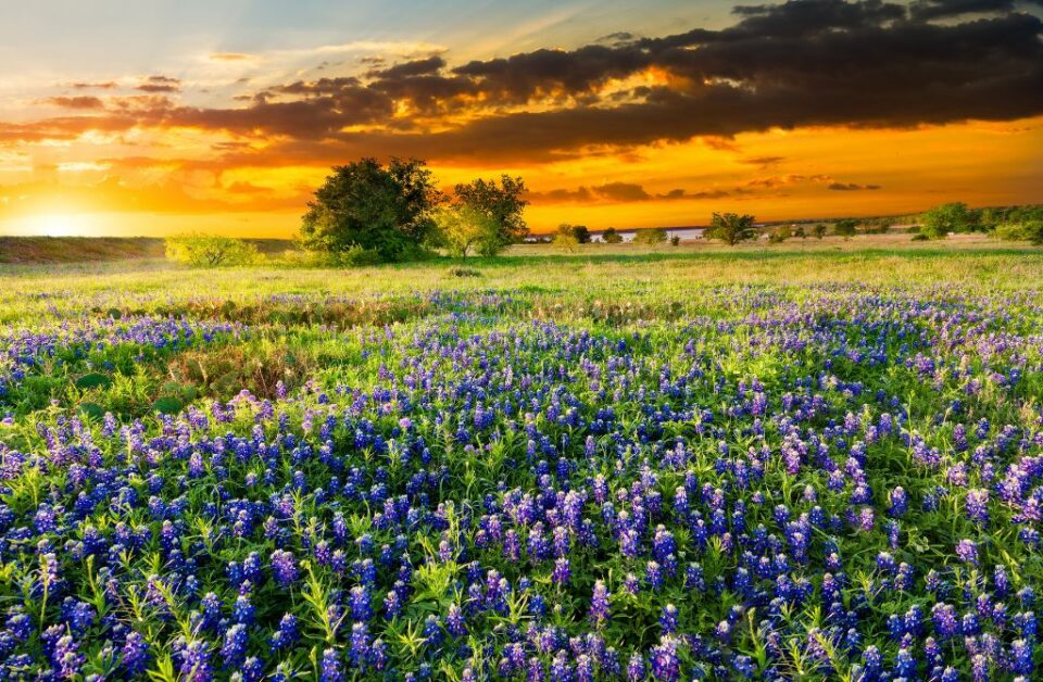 12 Extraordinary Movies Set In Texas That Will Inspire You To Visit ...