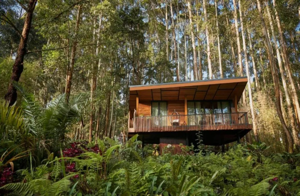 One&Only Gorilla's Nest - Best Hotels In Rwanda