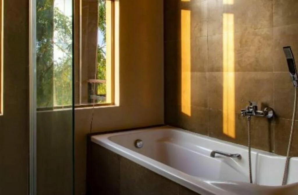 Rock Wild Yala - Best Hotels In Yala