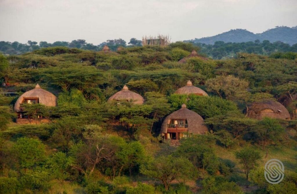 Serengeti Serena Safari Lodge - Best Hotels In Tanzania