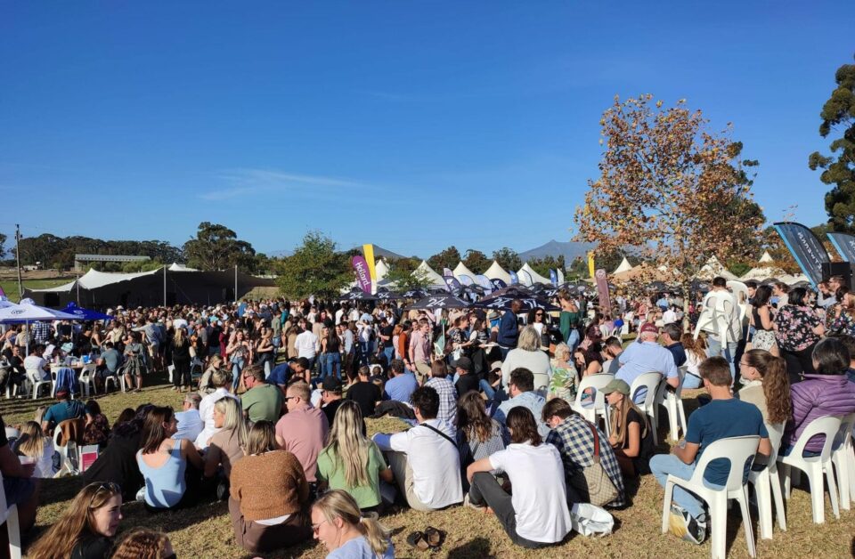 15 Best Music Festivals In South Africa: Unmissable Rhythmic Adventures