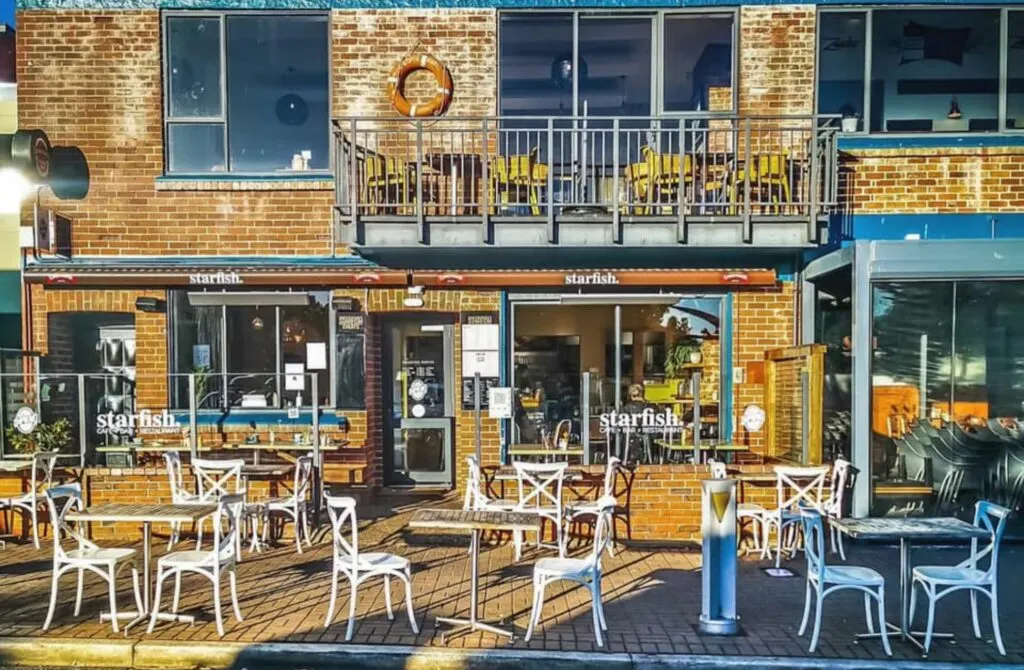 Starfish Cafe On The Esplanade - Best Places To Eat In Dunedin