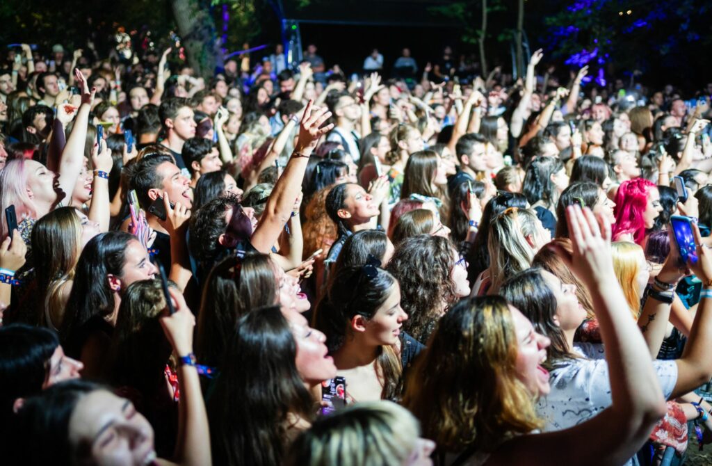 Summer Well Festival - Best Music Festivals in Romania