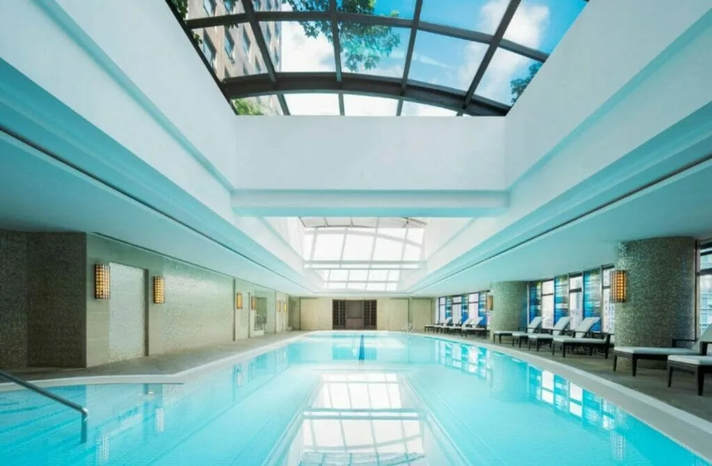 The 9 Best Hotels In Shanghai: Top Must-Visit Stays For An Unforgettable Experience 29 Swissôtel Grand Shanghai - Best Hotels In Shanghai