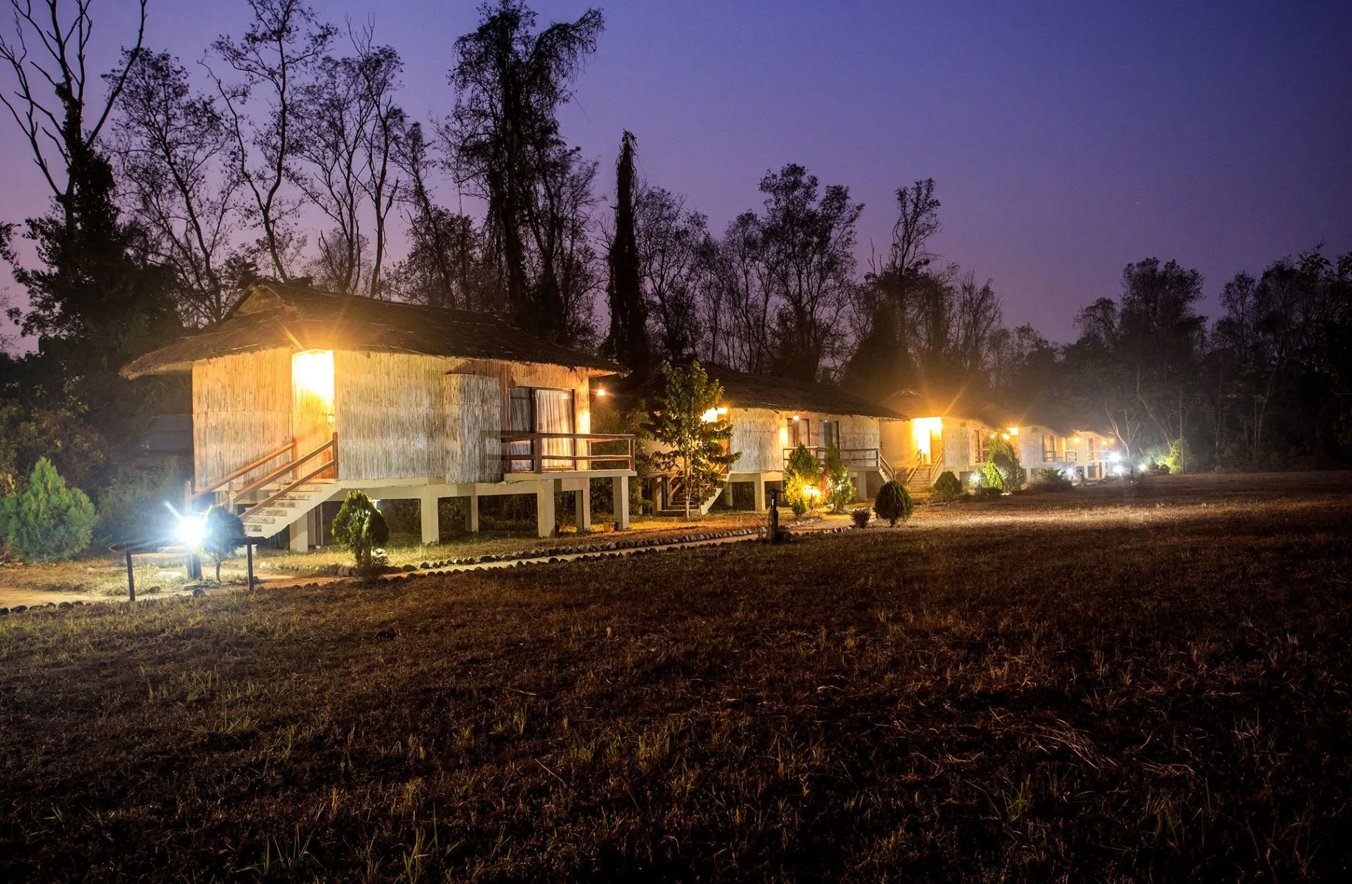 Temple Tiger Green Jungle Resort - Best Hotels In Chitwan National Park Nepal