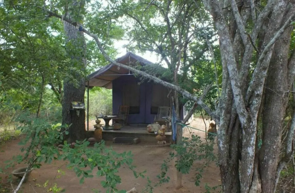 The Campers Lodge Yala Luxury Camping - Best Hotels In Yala