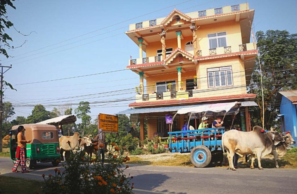 The Tiger Corner Inn Homestay - Best Hotels In Chitwan National Park Nepal