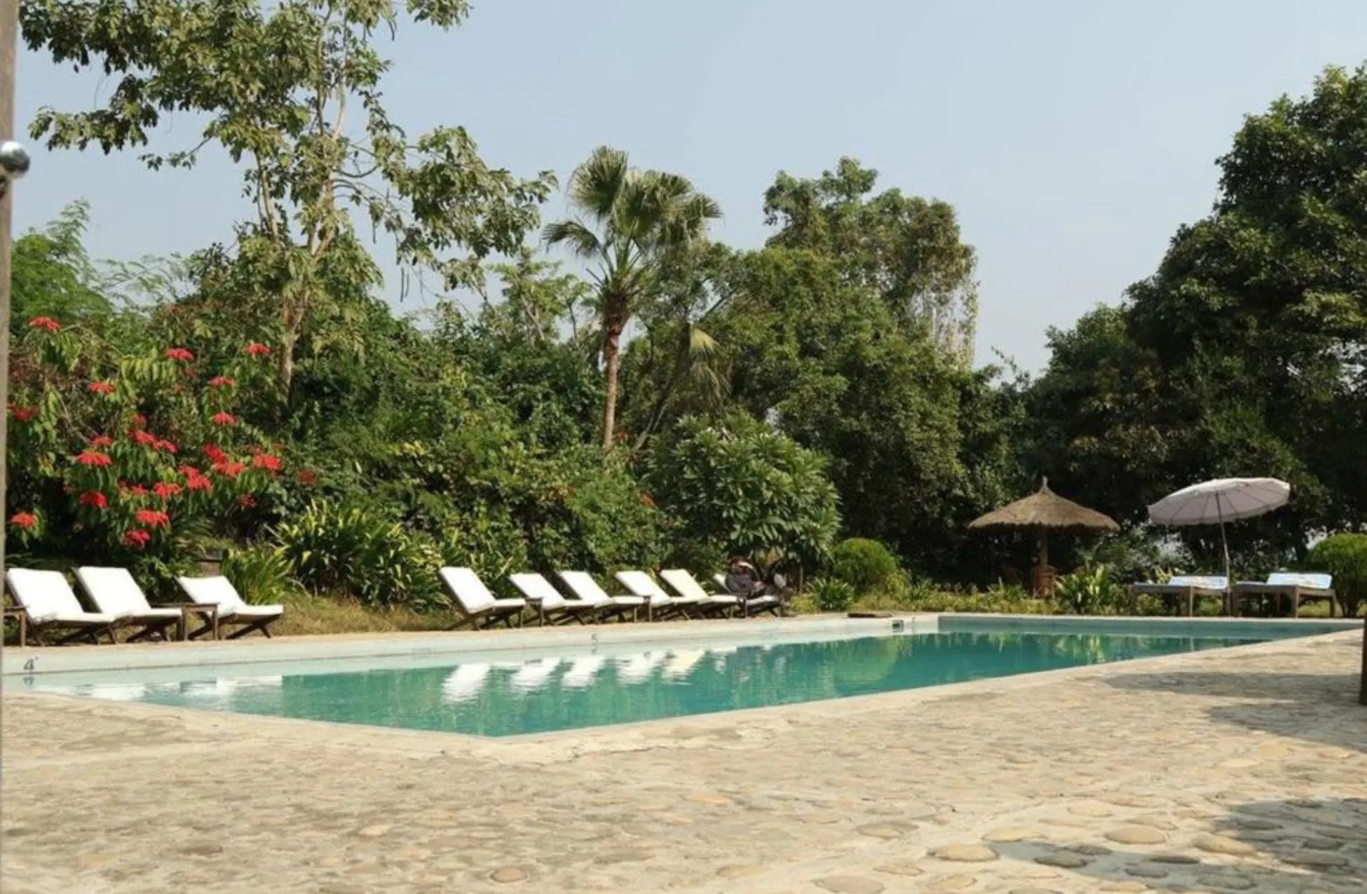 Tiger Tops Tharu Lodge - Best Hotels In Chitwan National Park Nepal