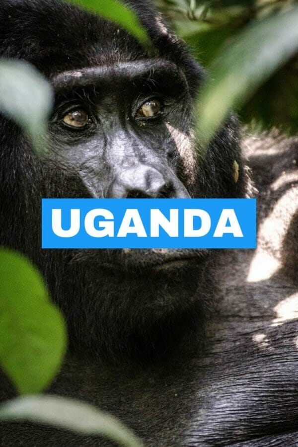 Uganda Travel Blogs & Guides - Inspired By Maps