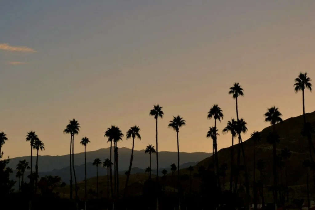 3 Days In Palm Springs: The Perfect Long Weekend Getaway!