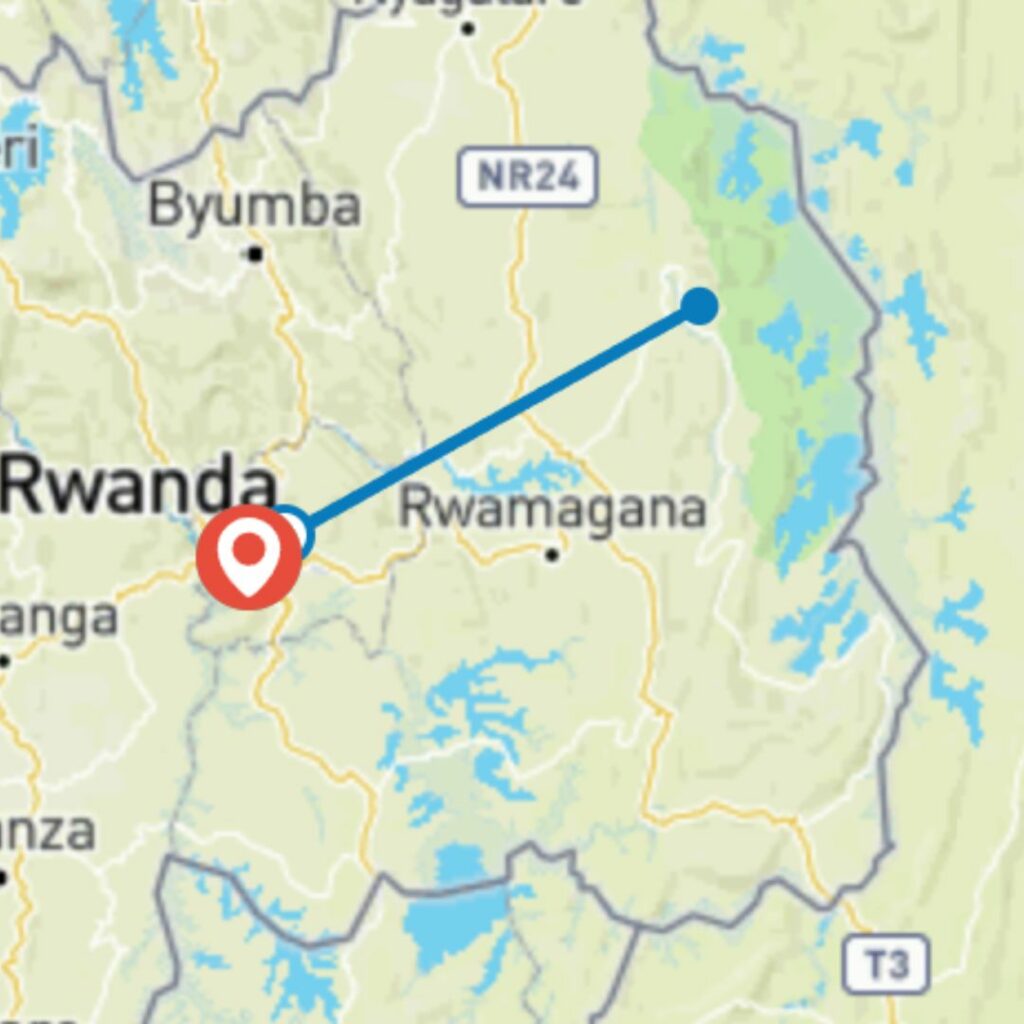 Wild Encounters in Rwanda