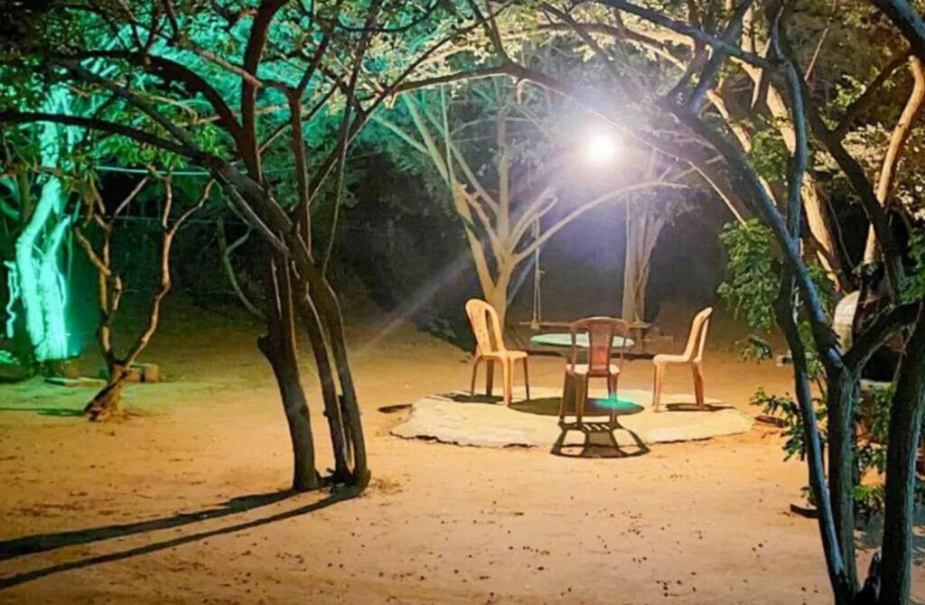 The 12 Best Hotels In Yala: Top Safari Stays To Roar About! 40 Yala Shadow - Best Hotels In Yala
