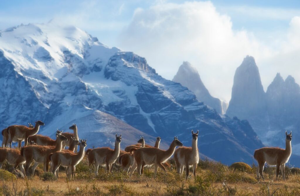 best tour operators in Chile - best Chile tour package - best tours in Chile - best tour companies in Chile - best Chile tours