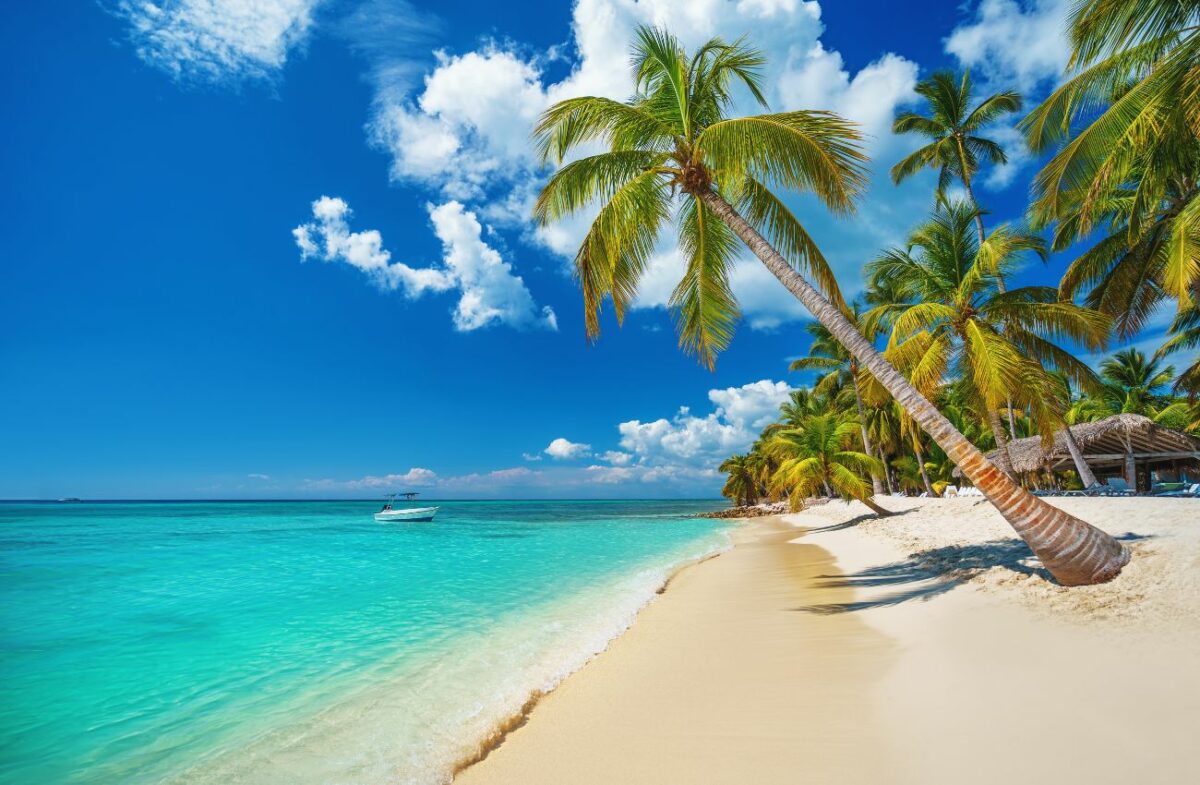 The 6 Best Dominican Republic Tours For Unforgettable Adventures That