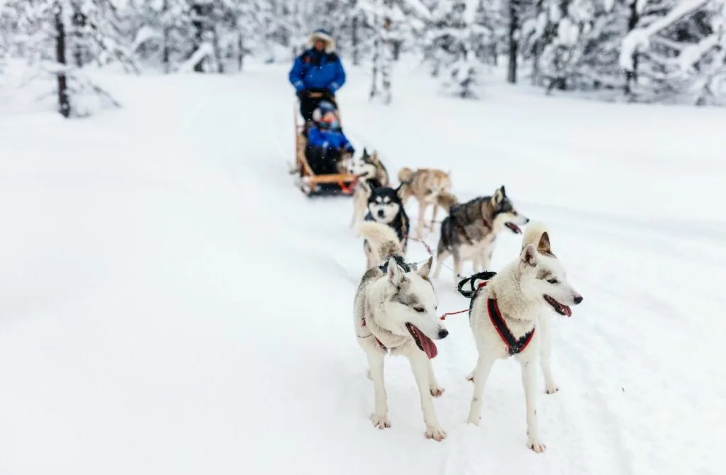 best Exodus tours in Finland