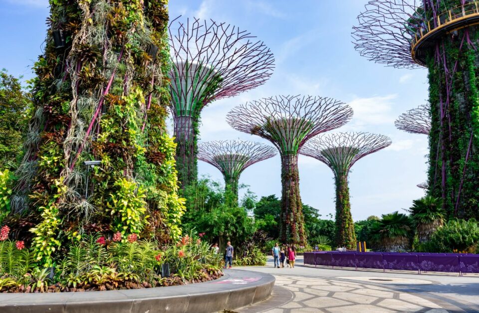 The 6 Best Singapore Tours For Unforgettable Adventures That Are ...