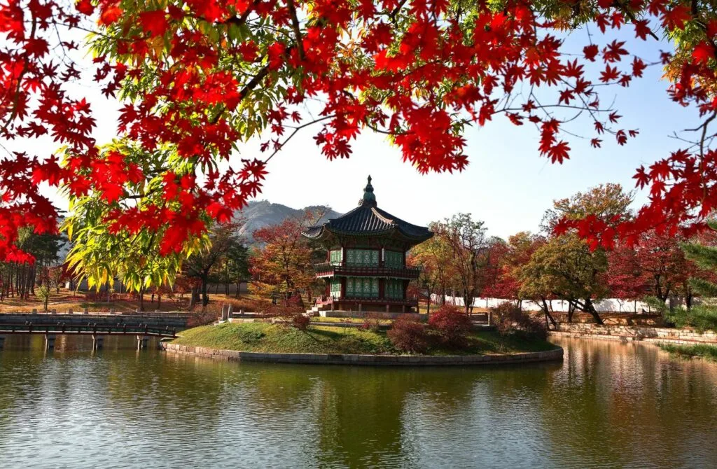 best tour operators in South Korea - best South Korea tour package - best tours in South Korea - best tour companies in South Korea - best South Korea tours 