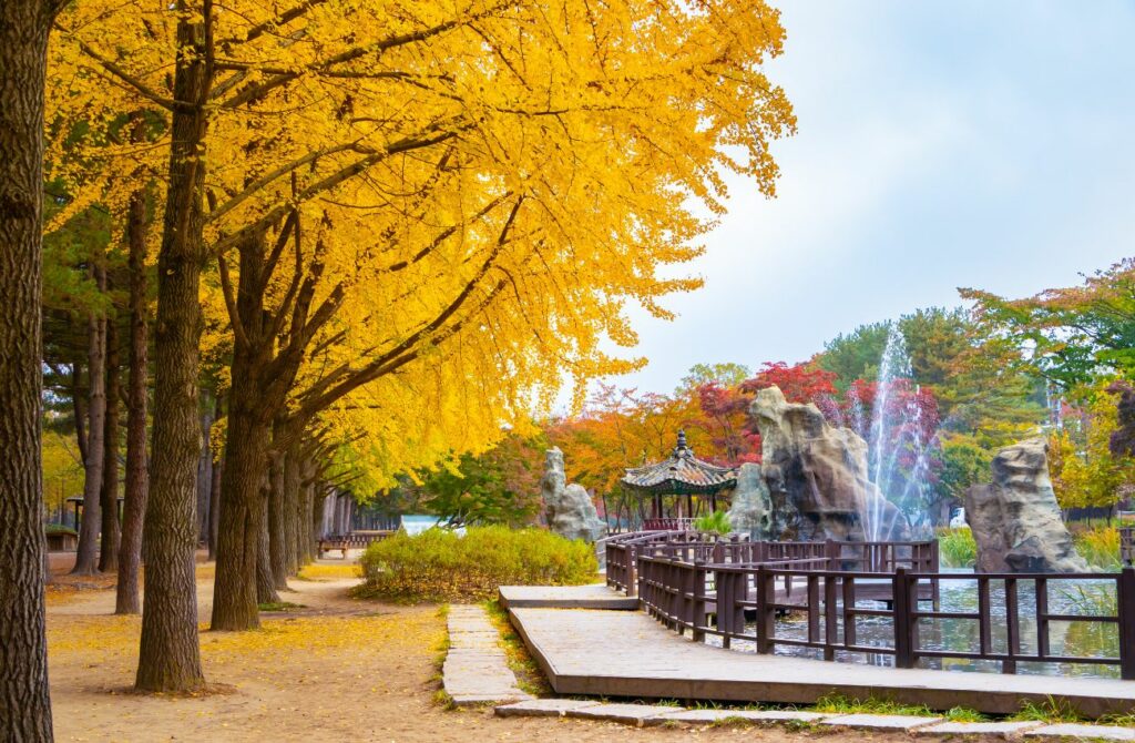 best tour operators in South Korea - best South Korea tour package - best tours in South Korea - best tour companies in South Korea - best South Korea tours 