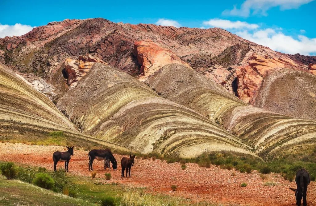 films set in Argentina - best movies set in Argentina