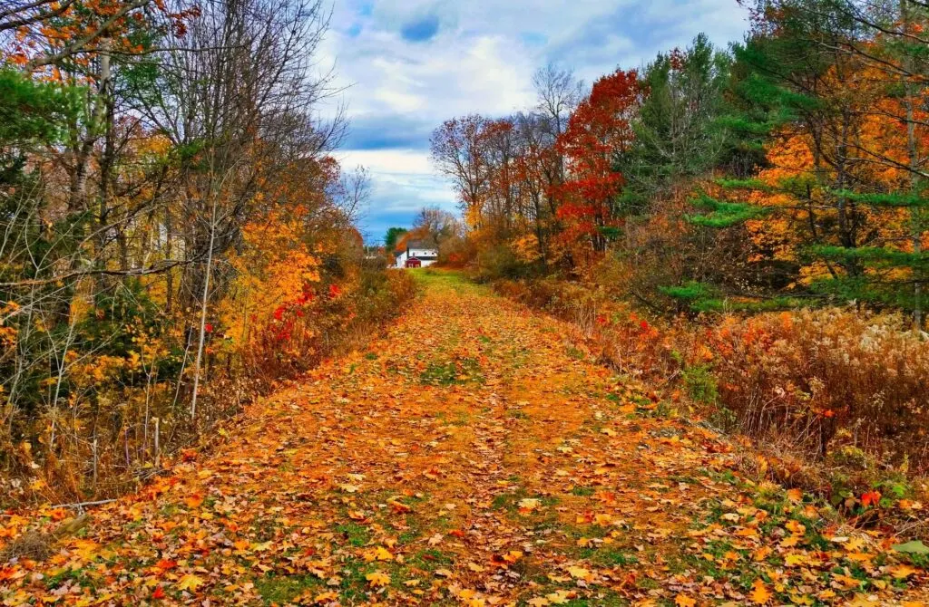 films set in maine - best movies set in maine