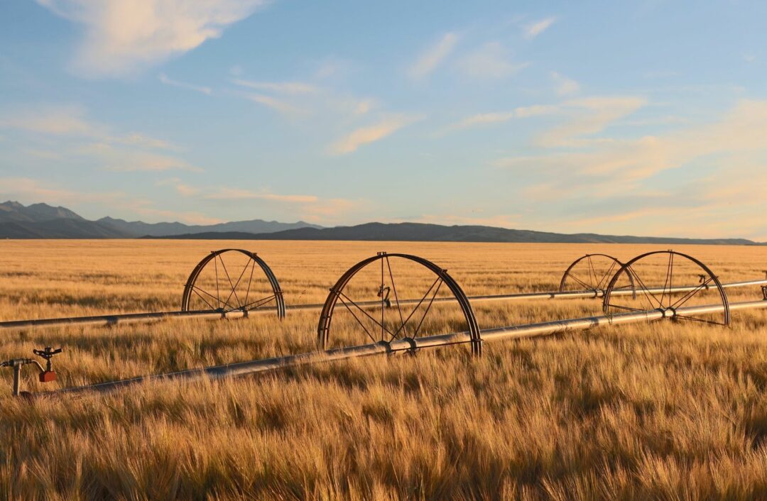 12 Extraordinary Movies Set In Montana That Will Inspire You To Visit! Inspired By Maps