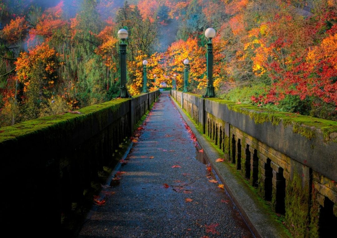 12 Extraordinary Movies Set In Seattle That Will Inspire You To Visit